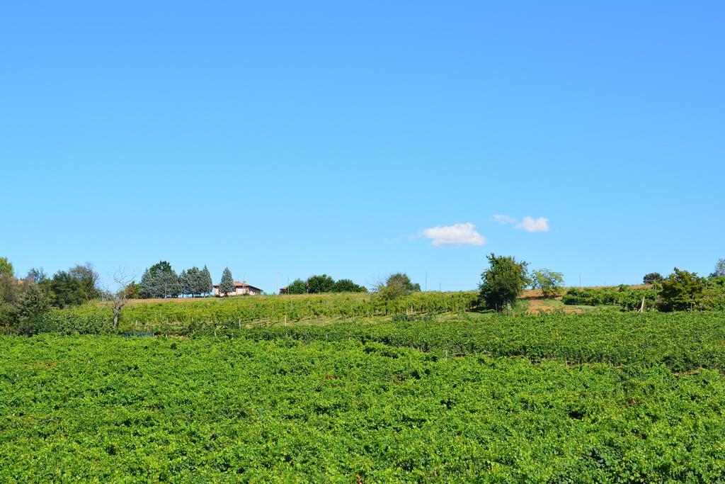 Le Stanze Di Bacco Villa Monteveglio Екстериор снимка